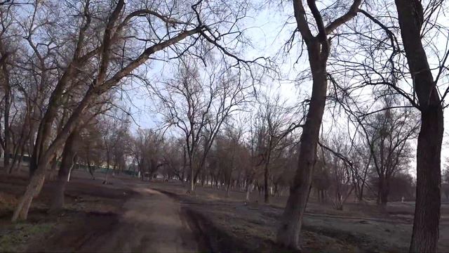 ГОЛОД. КАК НАДО. КАК ХОЧУ. Малахов. смотреть онлайн