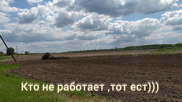 Лукашенко потом удивляется откуда берутся змагары. смотреть онлайн