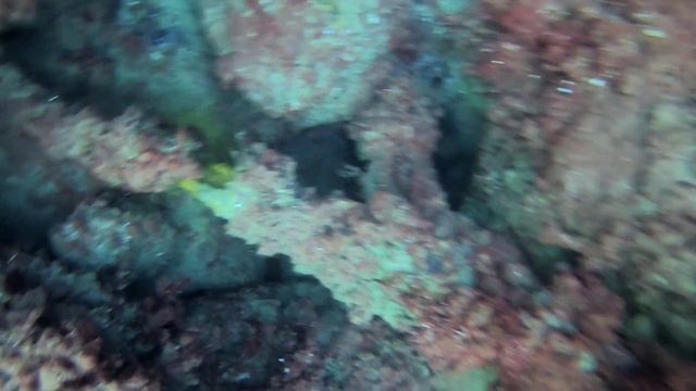 Погружение в бухте Ласпи смотреть онлайн