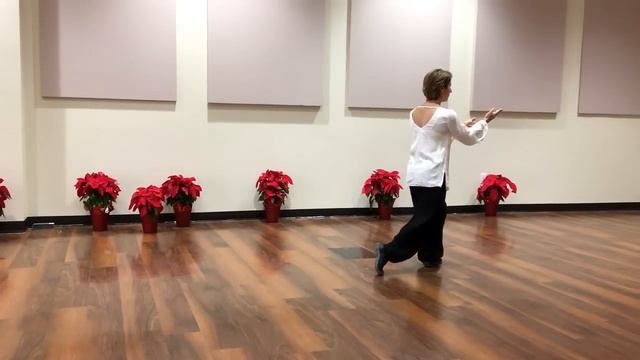 Sun Style Tai Chi 73 Form: Demonstration by Susan Thompson смотреть онлайн