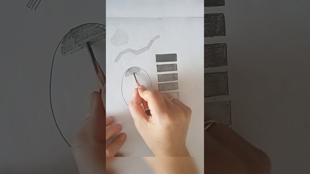 InShot_20230405_120915975.mp4