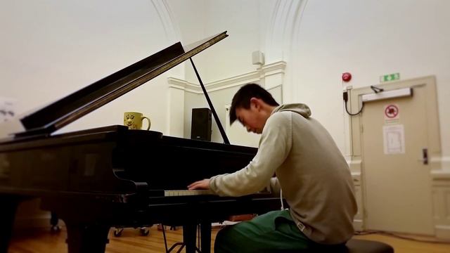 Lilly Wood & The Prick and Robin Schulz - Prayer in C (Piano cover) by David Fang смотреть онлайн