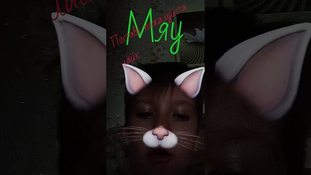 я кот 🤣🤣🤣🤣🤣🤣🤣🤣