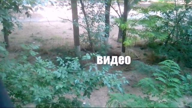 КАК УЛУЧШИТЬ КАЧЕСТВО ВИДЕО ИЛИ ФОТО НА ANDROID? смотреть онлайн