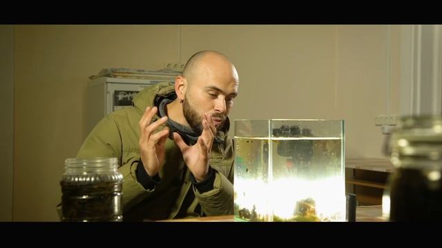 Литоральные животные. Тайные механизмы природы смотреть онлайн