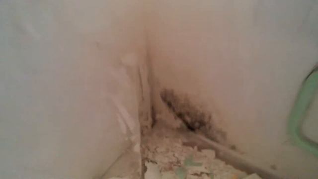 Грибок. Стена с плесенью, ремонт ч.3 смотреть онлайн