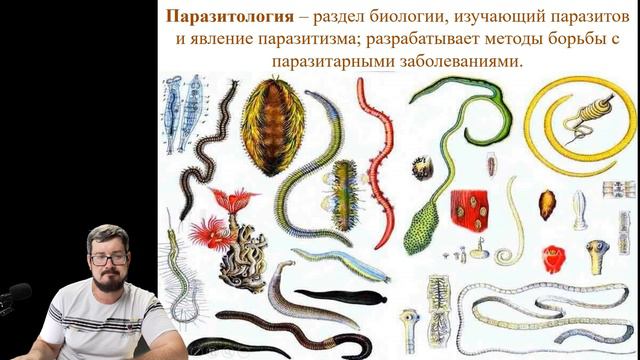 С чего начать подготовку к ЕГЭ по Биологии 2024? смотреть онлайн