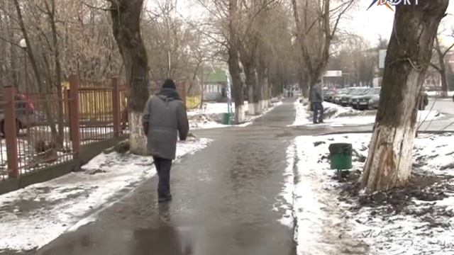 Берегитесь пешеходы. Картинка дня «Преждевременная оттепель» смотреть онлайн