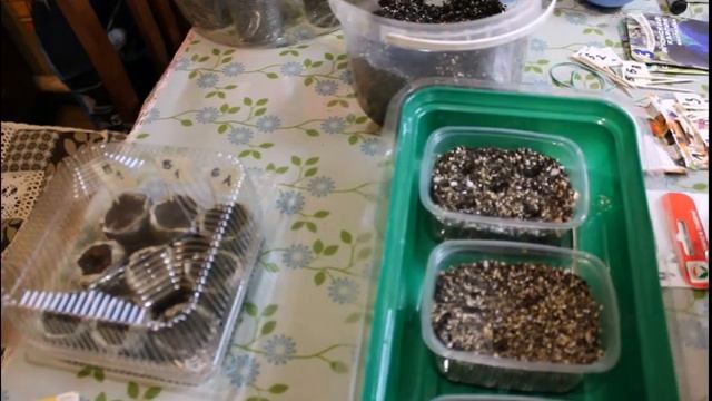 Как можно посеять томаты перцы баклажаны на ранний урожай смотреть онлайн