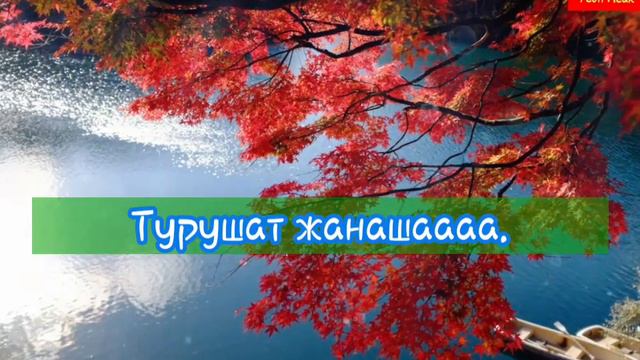 Айтурган Эрмекова - той тамаша (-текст-) смотреть онлайн