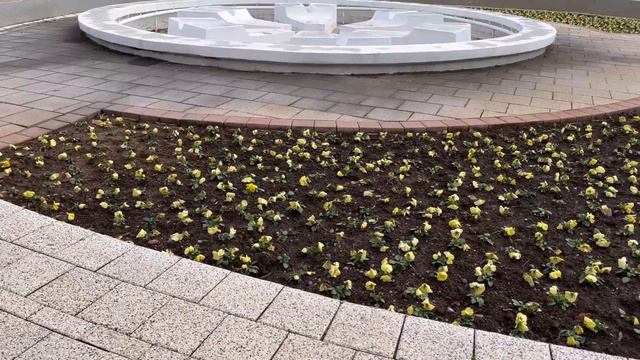 VLOG: НИШКА-БАНЯ / ЗИМА В СЕРБИИ смотреть онлайн