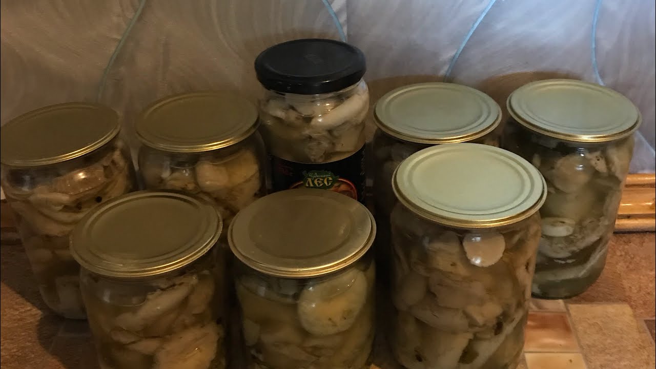 Маринуем, солим грибы белый груздь горячим и холодным способом. Грибной сезон. Заготовки Shorts.mp4