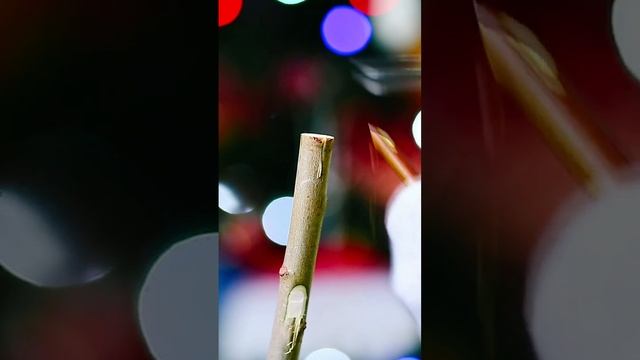 Прививка за кору #закору смотреть онлайн