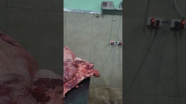 забой быков