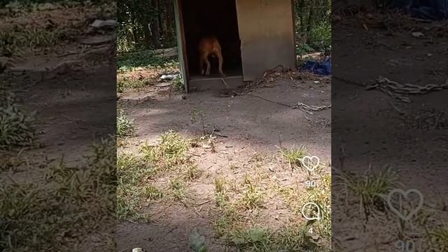 D.O.C’s Lil Dirty ( Dirtface / Secret ) смотреть онлайн