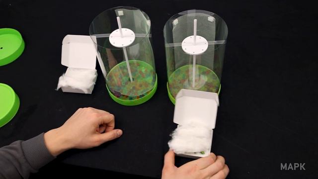 ВЫРАЩИВАЕМ ДОМА 10 БАБОЧЕК смотреть онлайн