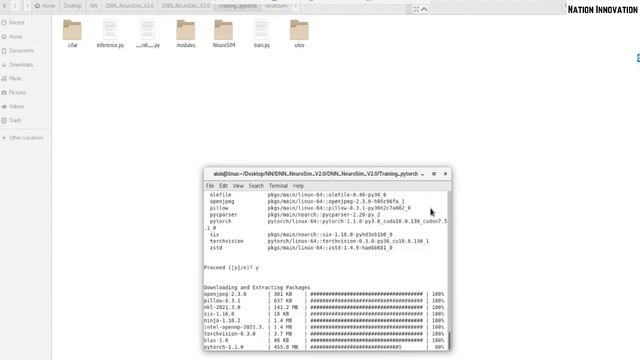 Installation of Neurosim Simulator integrated with Python on the Centos Linux machine смотреть онлайн