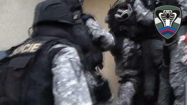 Daňová Kobra poprvé zasahovala смотреть онлайн