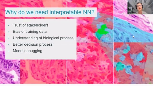 T5-II: Inside the... - Alexiou, Cechak, Jozefov, Martinek, Simecek - Tutorials - ISMB/ECCB 2021 смотреть онлайн