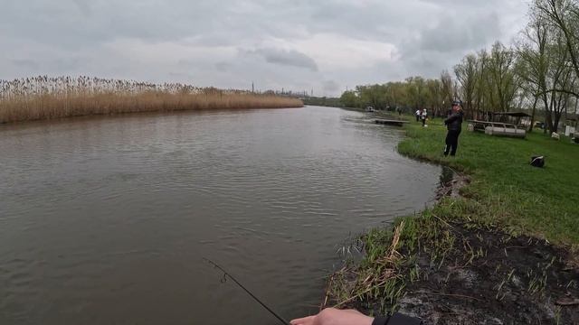 Чемпионат RB RND река Миус 09.04.2023