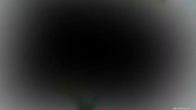 Пустынники нападают на Нахиду и Путешественника | Катсцены Genshin Impact смотреть онлайн