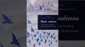 Птицы небесные или через молитвы к священному безмолвию монах Симеон Афонский 36