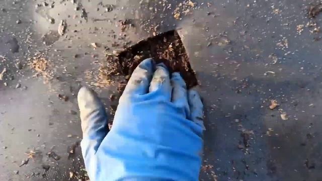 Высаживаю рассаду земляники садовой крупноплодной. ?✌️ смотреть онлайн