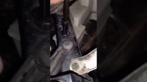 установка лед лампы ф7 на ниссан х трейл т32 2019 г.в.