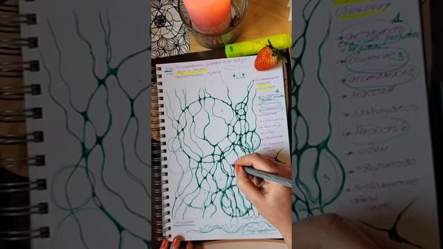 эфир от 16.02.22 восстановление после болезни смотреть онлайн