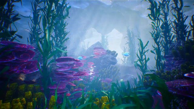 Under the Sea | Ambient Aquatic Reef - soothing and relaxing | Neon Blurr смотреть онлайн