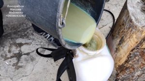 Первое опрыскивание винограда! Когда и чем проводить?