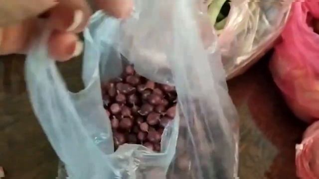 Баку Азербайджан РЕСТОРАН У МОРЯ ❣ ЕДА С СОБОЙ БАЗАР цены ?? restaurant pool Azerbaijan Baku смотреть онлайн