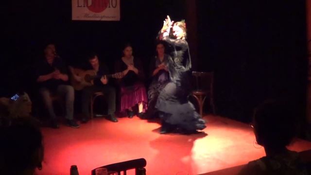 Libario Flamenco - Caña смотреть онлайн