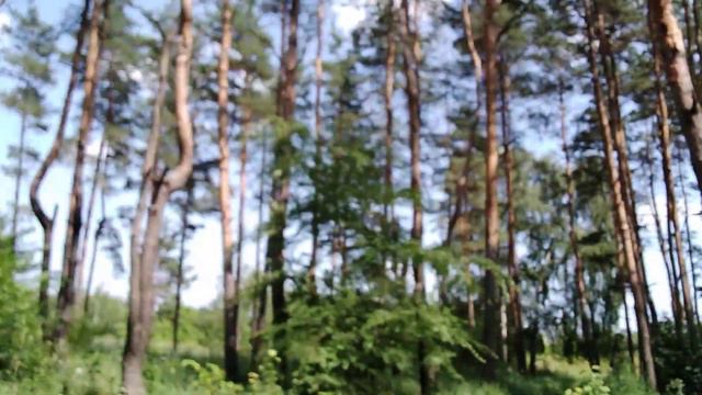 3 июля 2021 г. красивые места в черте города Воронежа смотреть онлайн