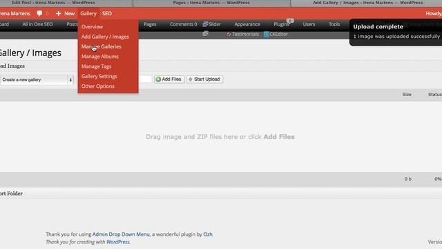 How to edit pictures in the NextGen Galleries. смотреть онлайн