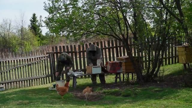ЖИЗНЬ В УРАЛЬСКОЙ ГЛУБИНКЕ _ЧАЙ ИЗ САМОВАРА смотреть онлайн