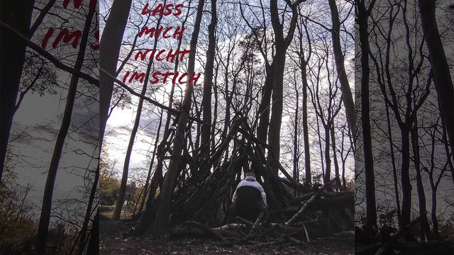 Lass mich nicht im Stich - kinnaj (prod. Zane98 & Mishaal) (Official Audio) смотреть онлайн