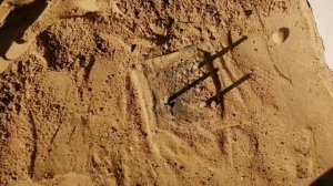 Бетонное крыльцо с круглыми ступенями. Все этапы строительства.