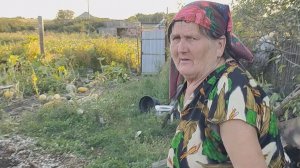 Бабушка убирается около навозной кучи