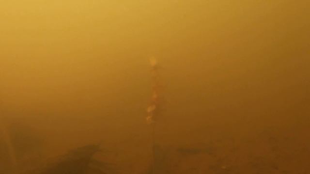 Огромный ЖАДНЫЙ РАК (Подводная Съемка) Приманка на рака