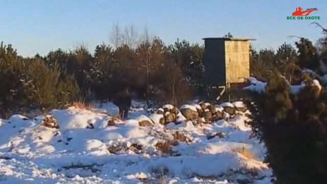 Охота с рогаткой смотреть онлайн