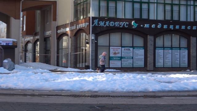 Гуляем с собакой смотреть онлайн