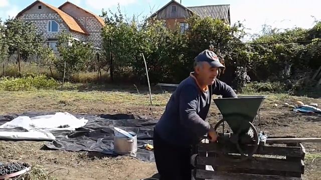Выжимаем сок виноградный. смотреть онлайн