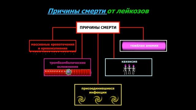 Патофизиология белой крови. Лейкозы. Гемобластозы. смотреть онлайн