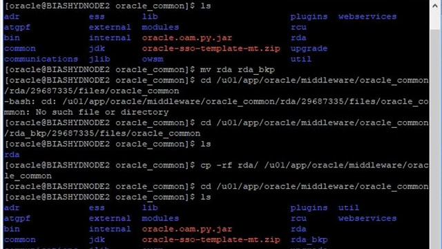 Collecting Diagnostic Information for OBIEE Security Issues Analysis using RDA utility смотреть онлайн