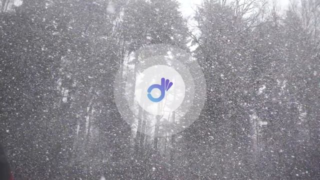 1-hour Classical Music - Winter Waltz