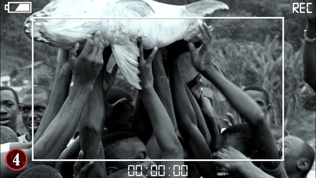 8 Most Dangerous Fish In The World смотреть онлайн