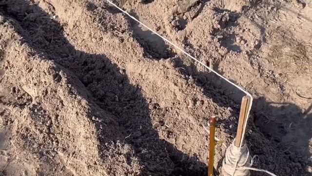 ЖИВУ в ДЕРЕВНЕ.БЕЛАРУСЬ.ВЫРАЩИВАНИЕ АРАХИСА. КУКУРУЗЫ.ЛАВАНДА из ЧЕРЕНКА.ФУНДУК РАЗВЕДЕНИЕ ОТВОДКИ смотреть онлайн