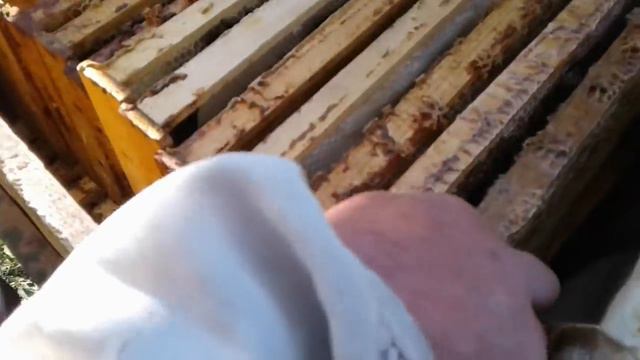 На весеннем точке после морозов смотреть онлайн