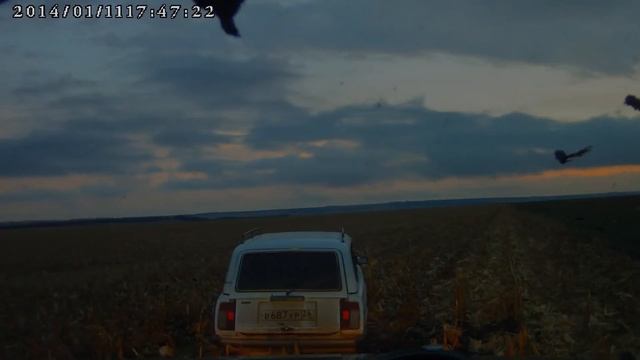 Добро смотреть онлайн